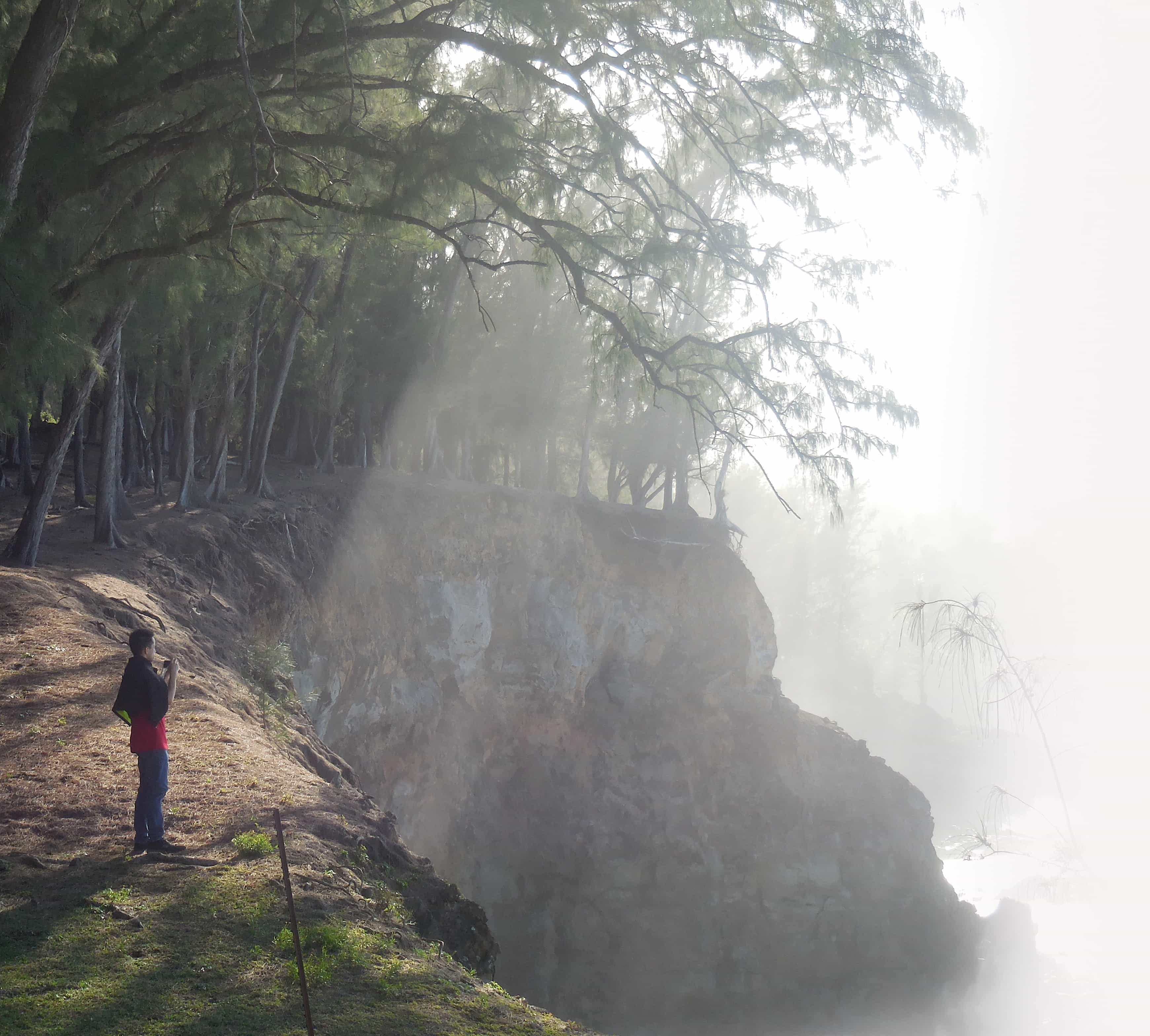 Photographer standing in the middle of a forest